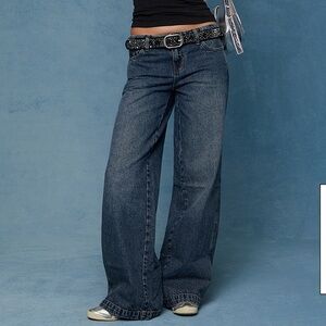 pacsun casey low rise baggy jeans